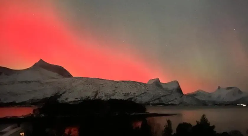 Efjord and Stetind Resort - Cabin Ocean - Image 1