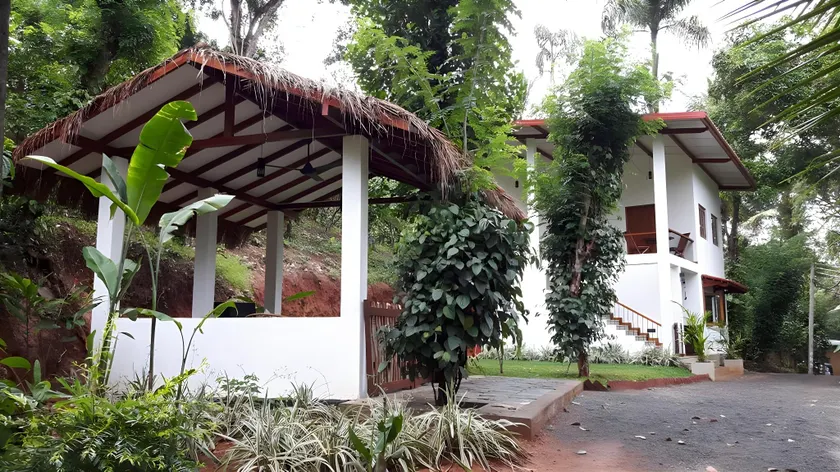 Zee's Garden - Image 1