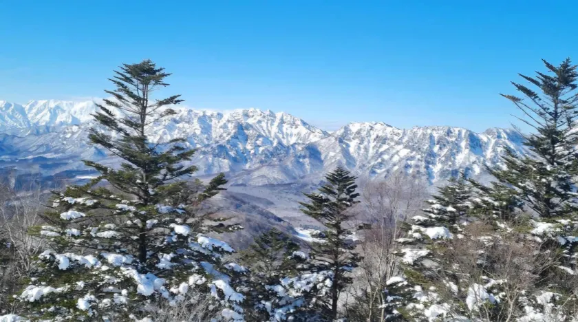 Sanso On Snow - Image 1