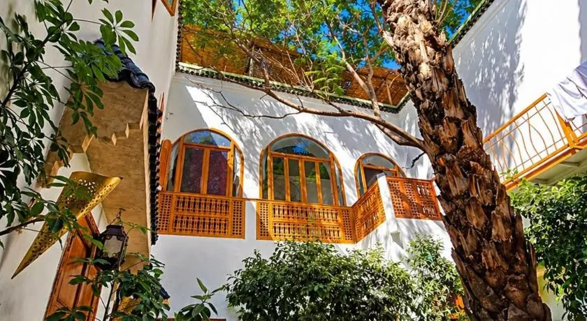 Riad O LY - Image 1