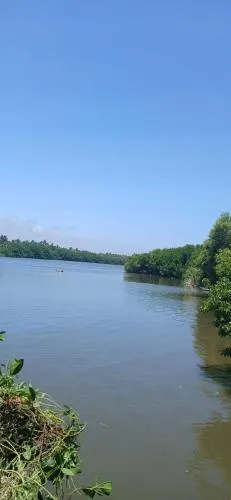 Lotus Vibe Resort - Image 1