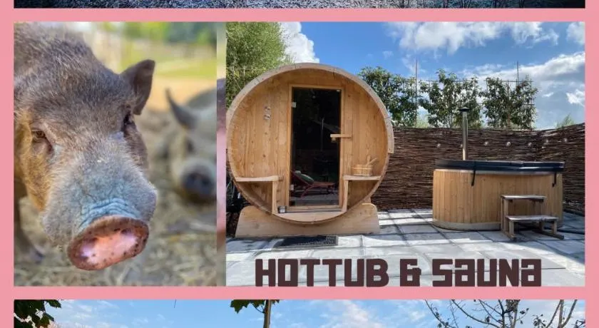 Bed & Wellness Pigs and Pillows with private hottub and sauna and tandembike rental included in price near Amsterdam - Image 1