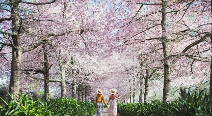 English Cherry Tree Manor - Image 1
