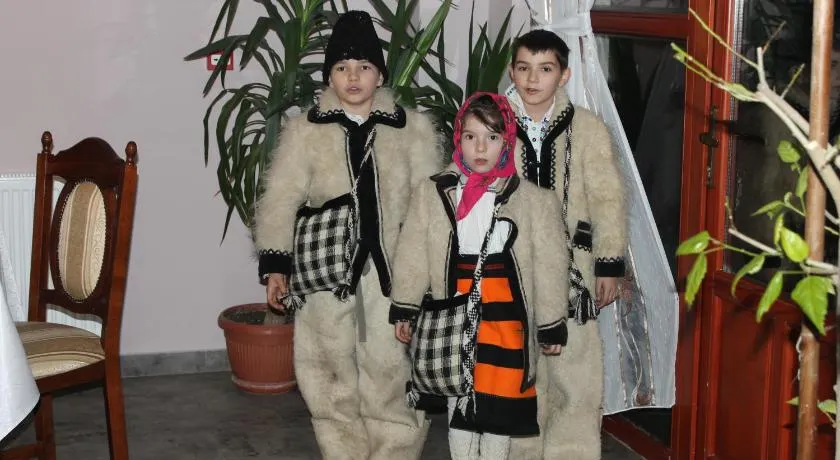Pensiunea Crinul Alb - Image 1