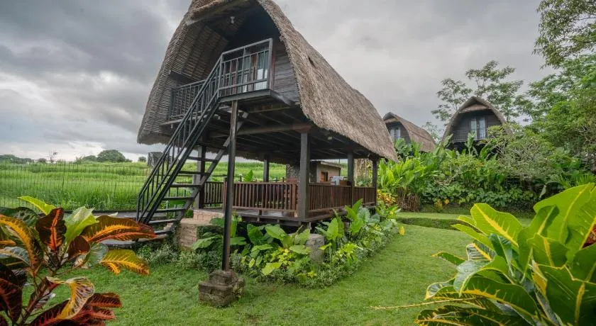 The Tetamian Bali - Image 1