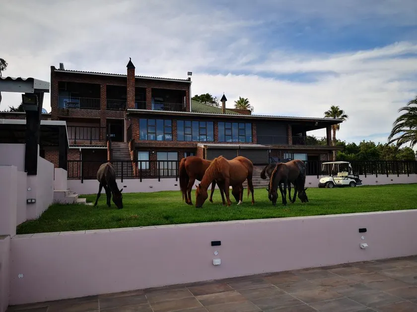 Tsitsikamma on Sea Resort - Image 1