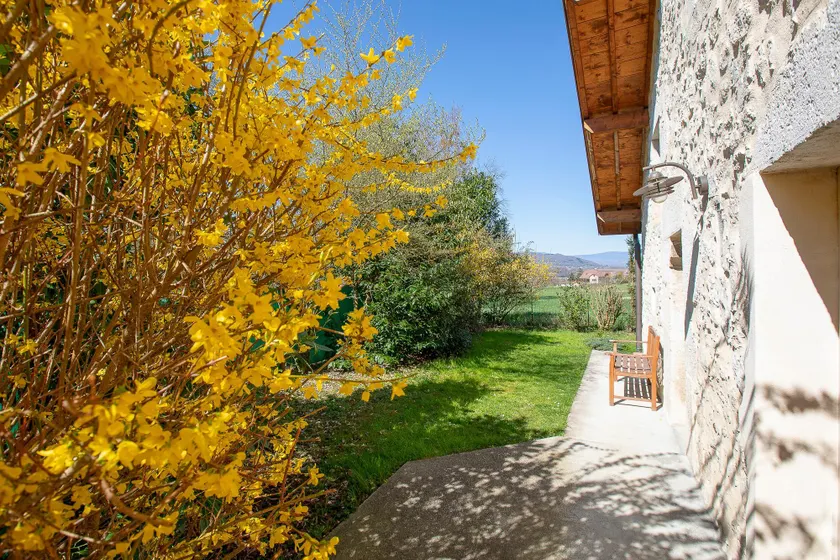 La Maison des Vignes - Image 1