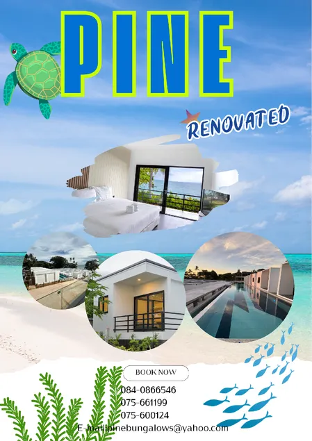Pine Bungalow - Image 1