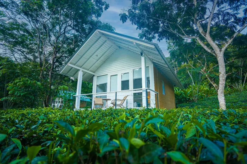 Ilukketiya Tea chalets  - Image 1