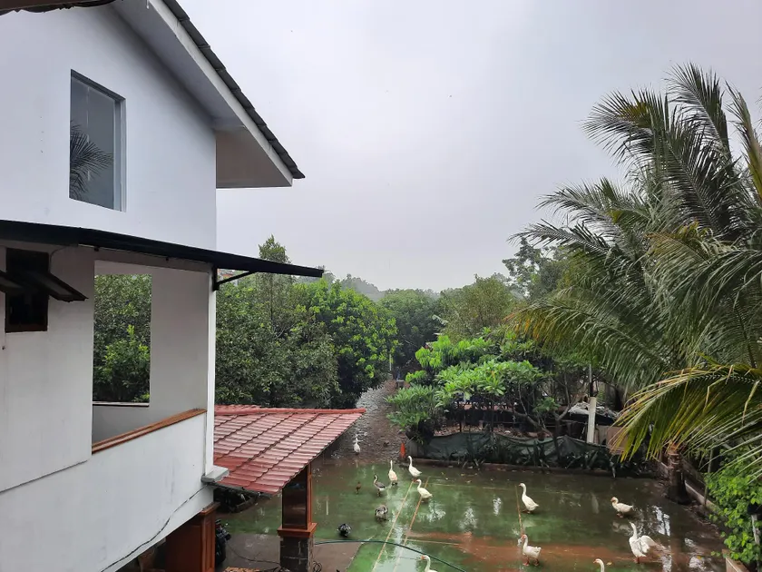 Humaira Green House - Image 1