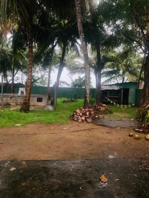 Coconut Tree Villa - Image 1