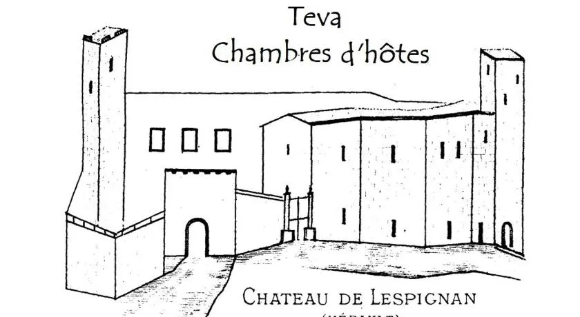 Teva - Image 1