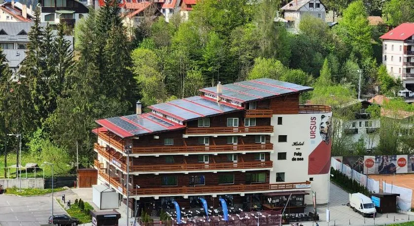 Cabana Fulg De Nea Predeal - Image 1