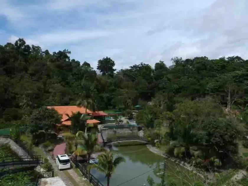 Villa Dlina Janda Baik - Image 1