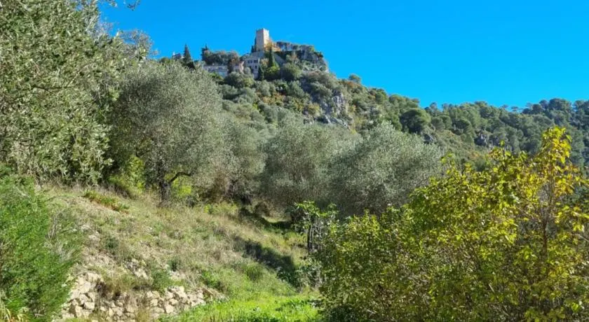 Le Jas - Image 1