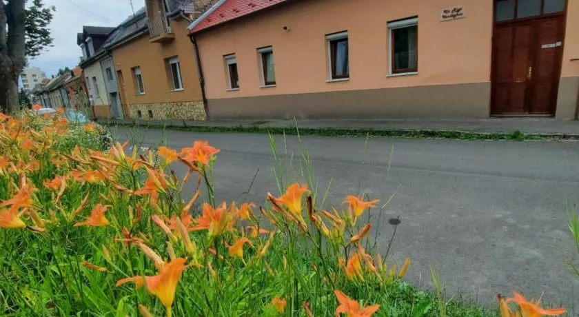 Kis Rigó vendégház - Image 1