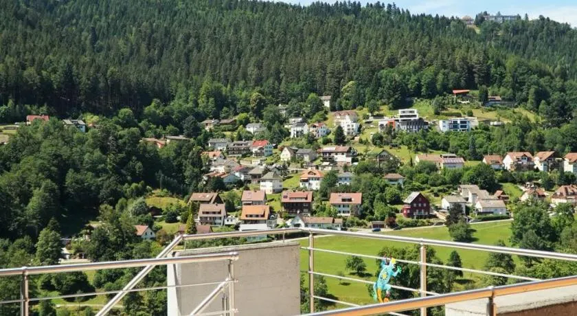 WiLDBADFERiEN DE - Image 1