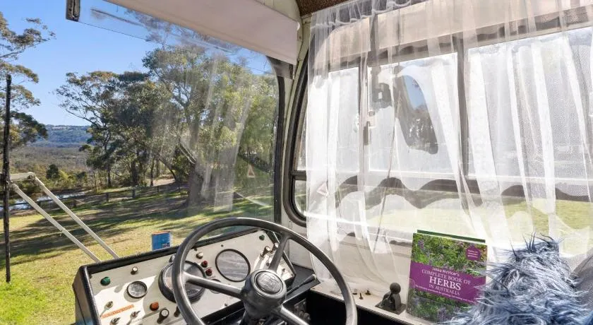 The Old School Bus - Image 1