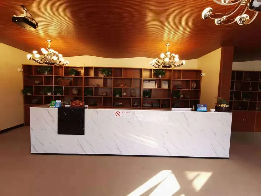 Silk Road Style Business Hotel - Image 1