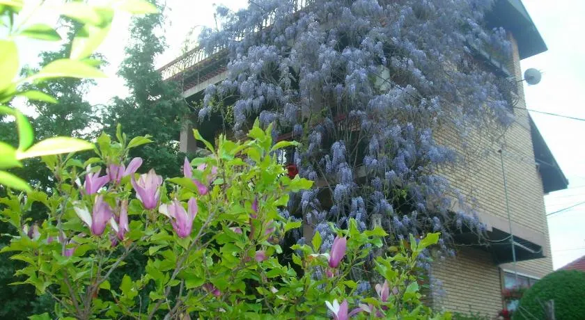Apartman Wisteria - Image 1