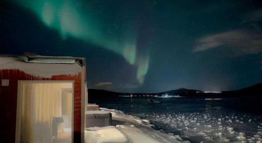 Norwegian Wild - Image 1