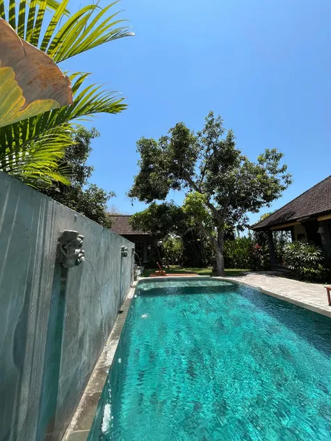 Bali Gecko Homestay - Image 1