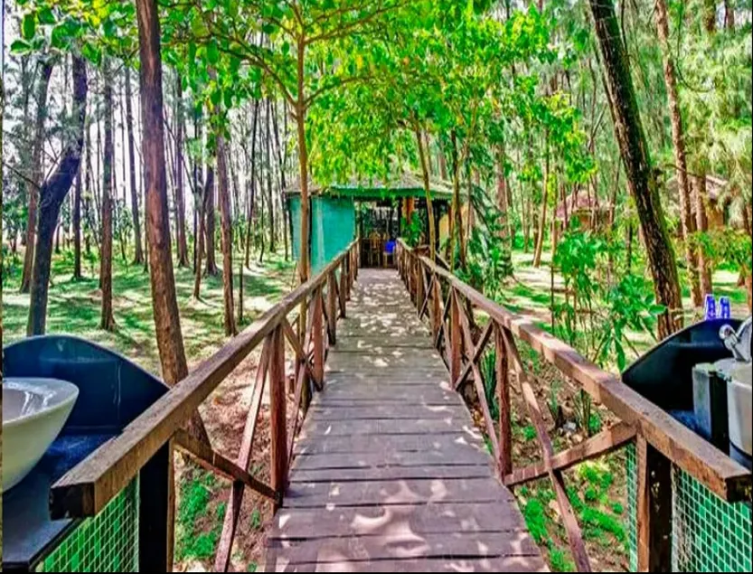 Devbagh beach resort - Junglelodges - Image 1
