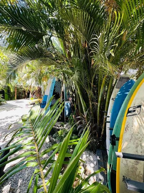 Surf Paradise - Image 1