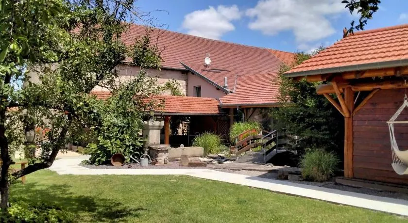 Hagebuche - Image 1