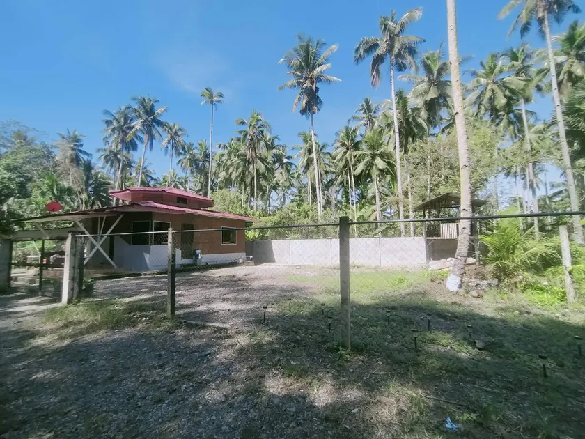 Modern Bahay Kubo - Image 1