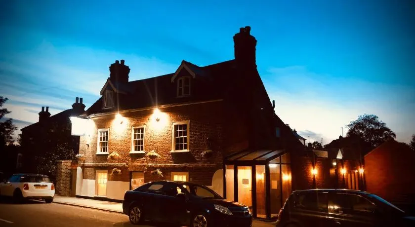 The Red Lion - Image 1