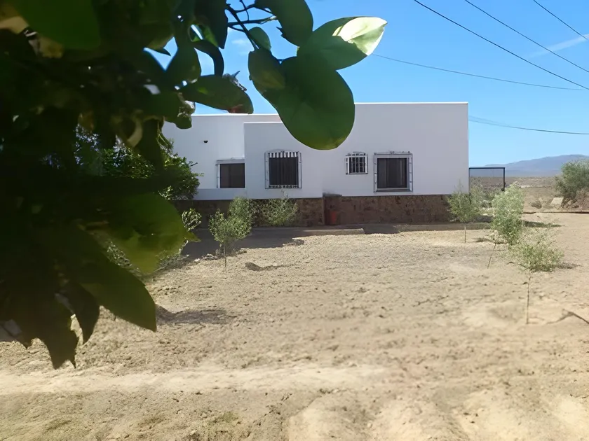 Cortijo ZD - Image 1