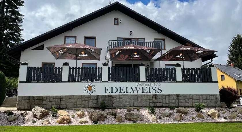 Wellness Hotel Edelweiss - Image 1