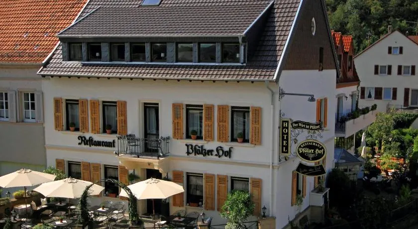 Hotel Pfälzer Hof - Image 1