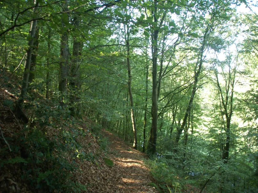 Soggiorno nella campagna della Normandia - Image 1