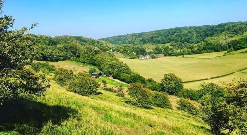 The Shire Glamping - Image 1