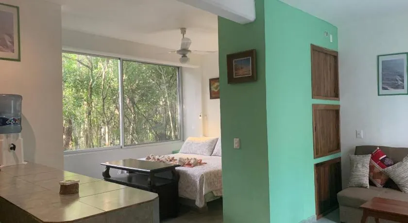 Studio with swimming pool at 12 m height over jungle - Image 1