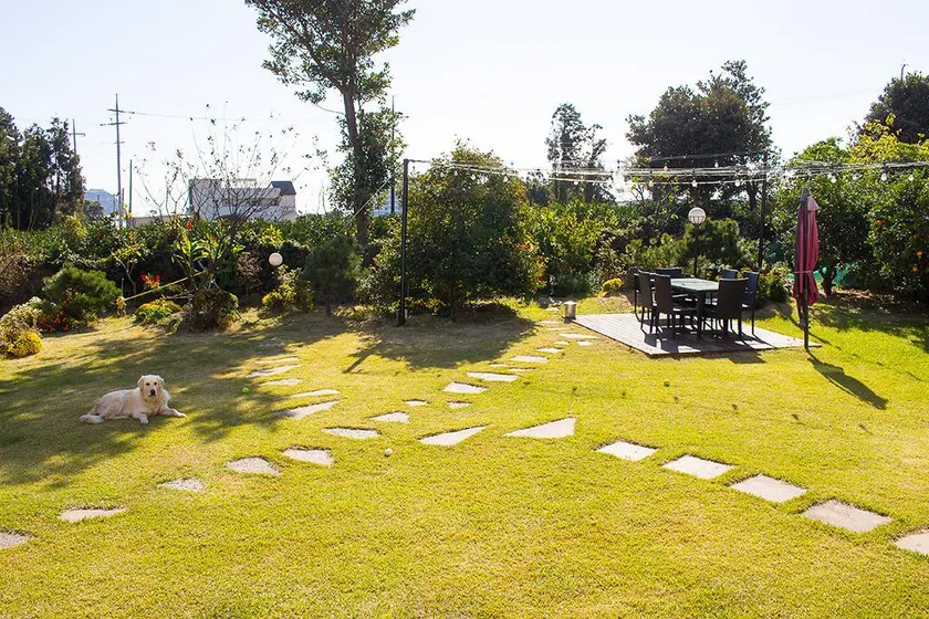Jeju Sangchune Pension and Guest House - Image 1