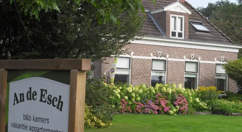 An de Esch - Image 1