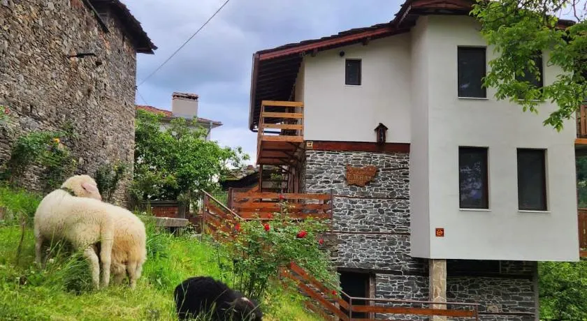 GUEST HOUSE ELENA - Image 1