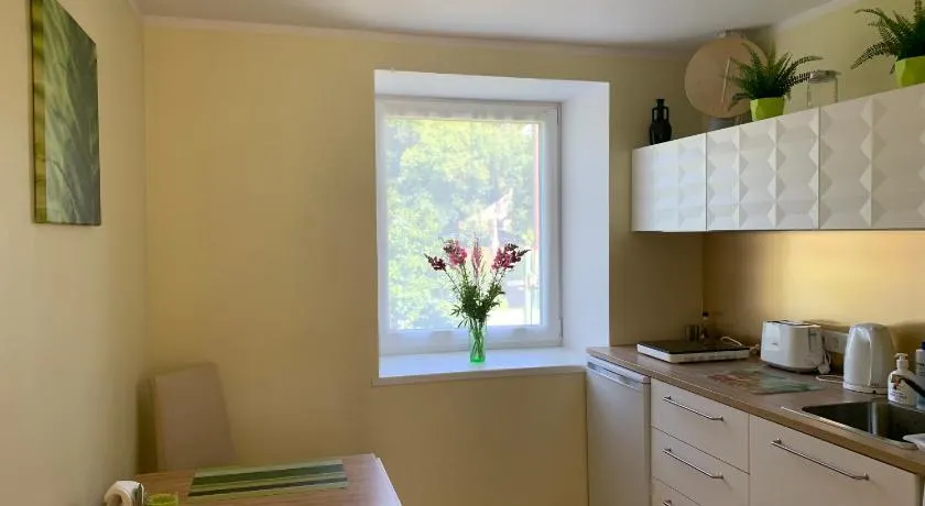 Excelent apartment with garden and free parking - Image 1
