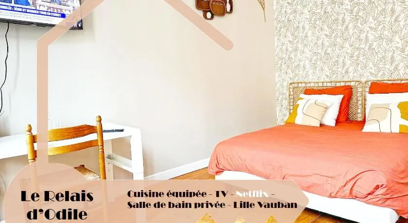 LeRelaisdOdile - Apparts Conforts - LILLE - Image 1
