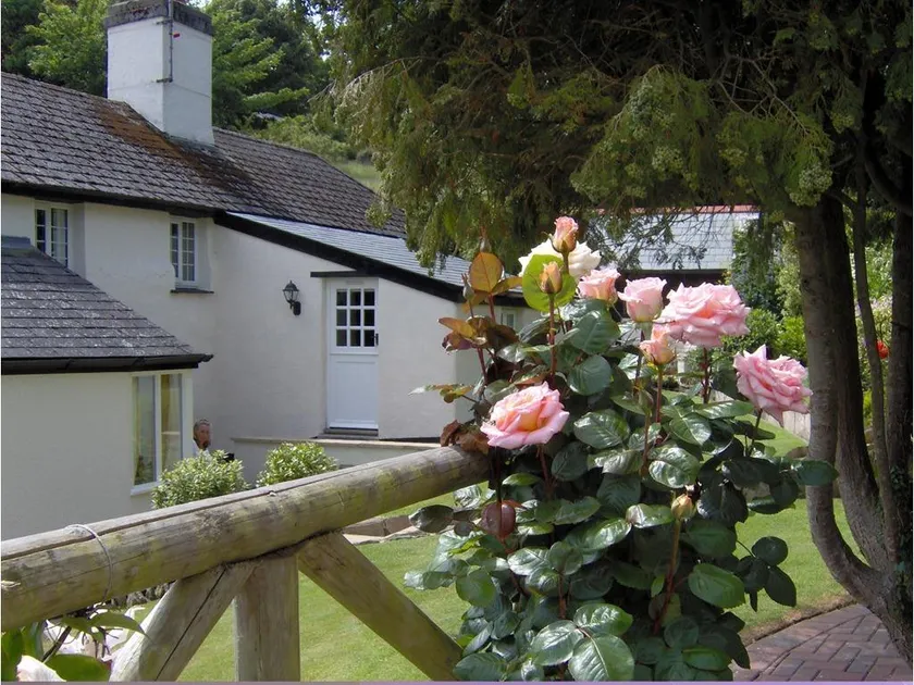 Frogwell - Image 1