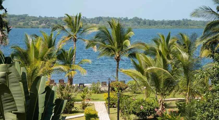 Dolphin Blue Paradise - Image 1