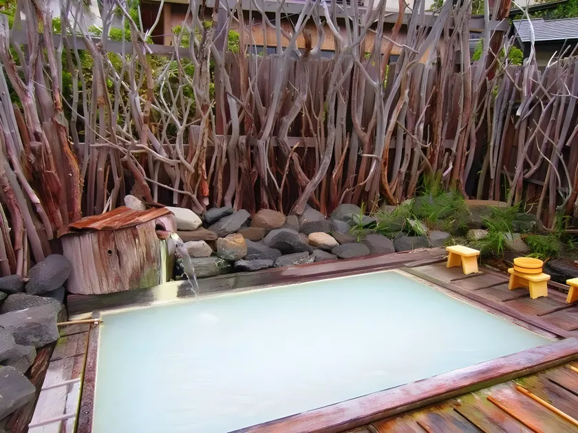 Sagamiya Ryokan - Image 1