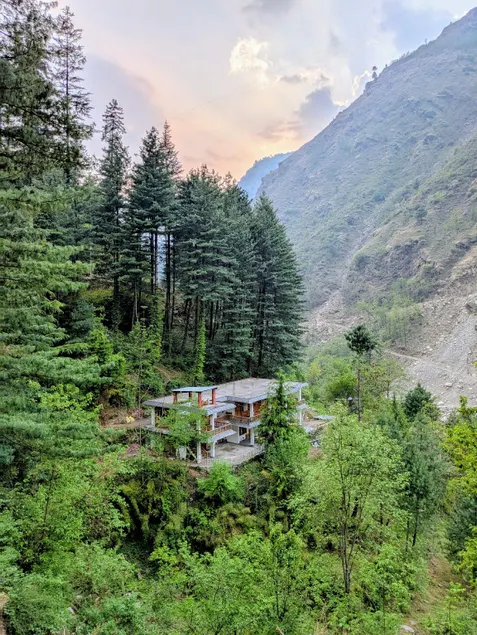 The Woods - Tirthan Valley - Image 1