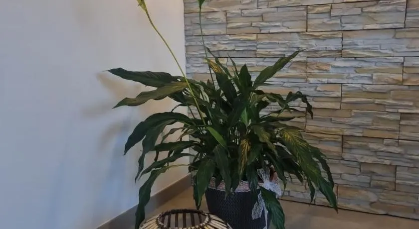 Wellness Ferienhaus - Image 1