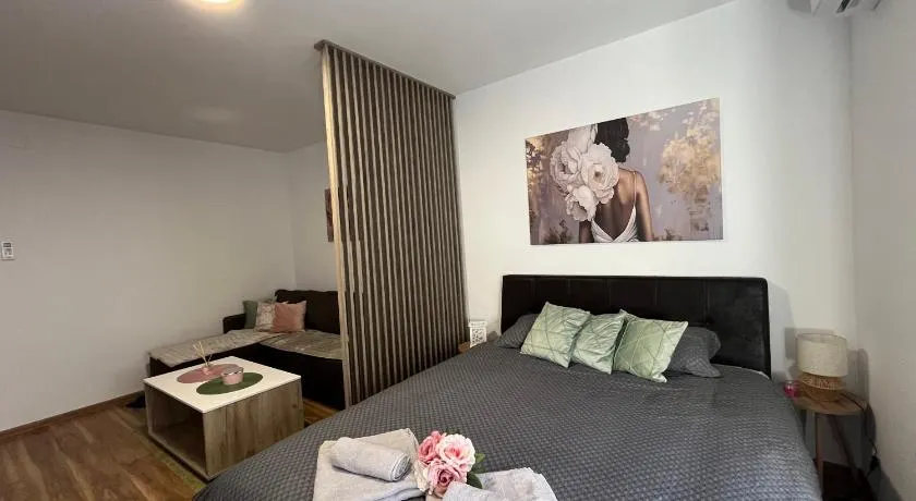 Vlasic Apartmani HANA - Image 1