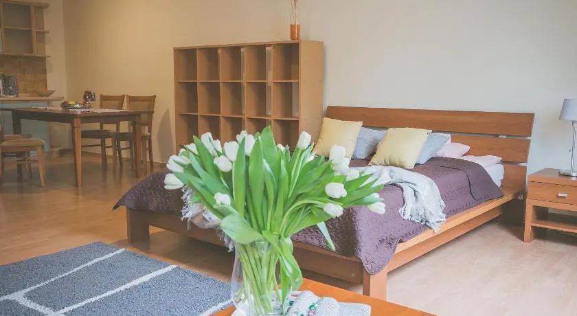 Apartamenty przy Zamku - Image 1