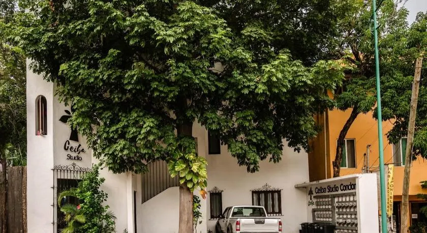 Ceiba Studios - Image 1